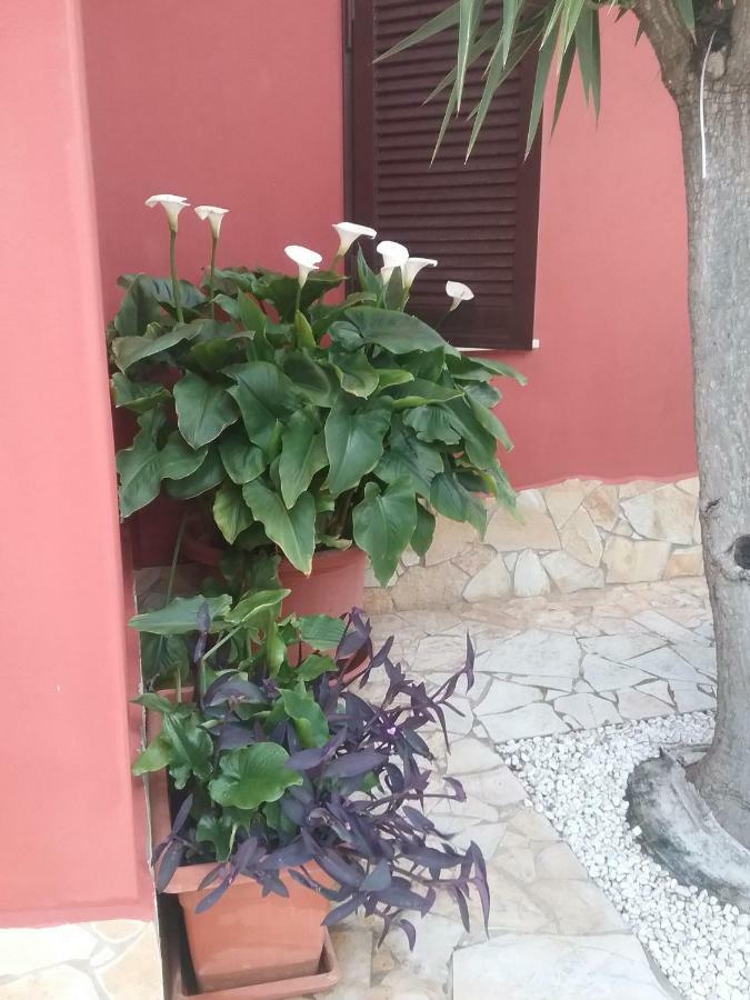 Hotel Stella Quartu SantʼElena Zewnętrze zdjęcie